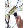 Лупа LEVENHUK ZENO 400, 2/4×, 88/21 мм, 2 LED, металл