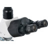 Микроскоп цифровой LEVENHUK D900T, 5,1 Мпикс, тринокулярный