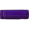 Монокуляр LEVENHUK RAINBOW 8×25 AMETHYST