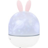 Астропланетарий LEVENHUK STAR SKY P1