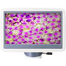 Микроскоп цифровой LEVENHUK D85L LCD, монокулярный