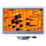Микроскоп цифровой LEVENHUK D95L LCD, монокулярный