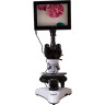 Микроскоп цифровой LEVENHUK MED D25T LCD, тринокулярный 739951