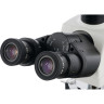 Цифровой тринокулярный микроскоп LEVENHUK MED D40T LCD