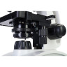 Микроскоп LEVENHUK DISCOVERY ATTO POLAR с книгой
