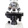Микроскоп LEVENHUK DISCOVERY ATTO POLAR с книгой