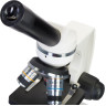 Микроскоп LEVENHUK DISCOVERY FEMTO POLAR с книгой
