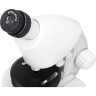 Микроскоп LEVENHUK DISCOVERY MICRO POLAR с книгой