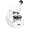Микроскоп LEVENHUK DISCOVERY MICRO POLAR с книгой