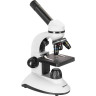 Микроскоп LEVENHUK DISCOVERY NANO POLAR с книгой