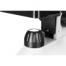 Микроскоп LEVENHUK DISCOVERY NANO POLAR с книгой