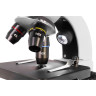 Микроскоп LEVENHUK DISCOVERY NANO POLAR с книгой