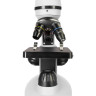 Микроскоп LEVENHUK DISCOVERY NANO POLAR с книгой