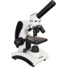Микроскоп LEVENHUK DISCOVERY PICO POLAR с книгой