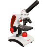 Микроскоп LEVENHUK DISCOVERY PICO TERRA с книгой